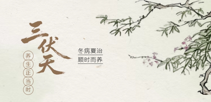 三伏天祛湿减重正当时，中医有妙招！