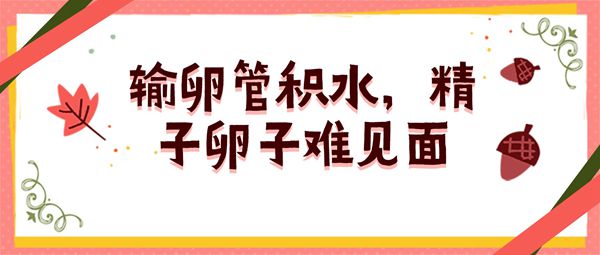 输卵管积水有哪些表现可以试管婴儿移植吗