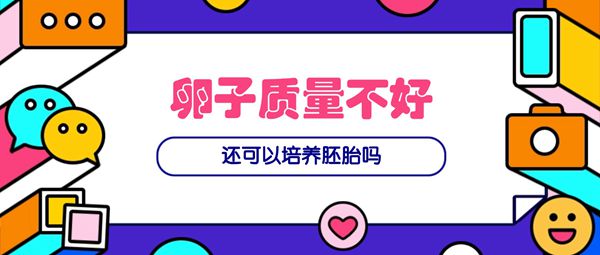 卵泡发育不良怀孕困难试管婴儿期间该如何提升卵子质量