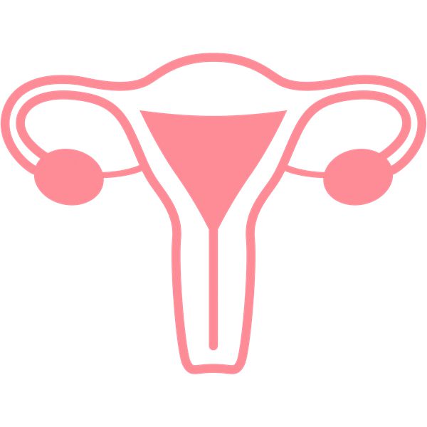 子宫畸形类型有哪些能不能试管婴儿助孕