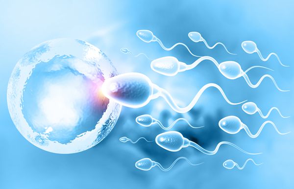 男性不育遇上无精子症可以二代试管婴儿吗
