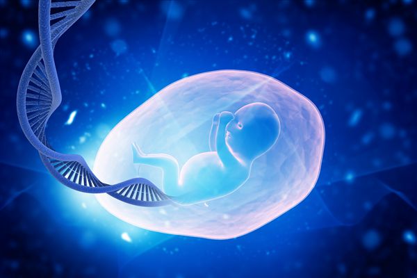 抗精子抗体阳性影响怀孕吗抗精子抗体阳性如何治疗