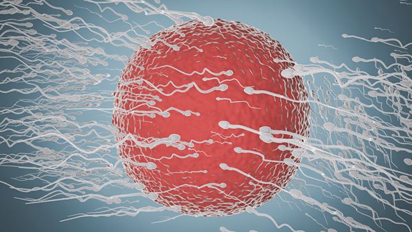 精子“弱弱的”男性如何生育,试管婴儿如何提升精子质量