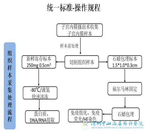 子宫内膜样本库