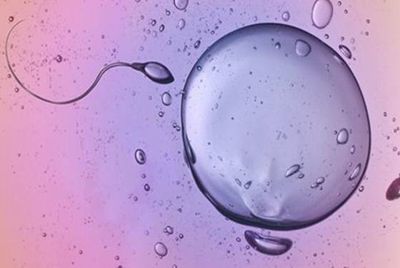 试管婴儿适用于哪些人群