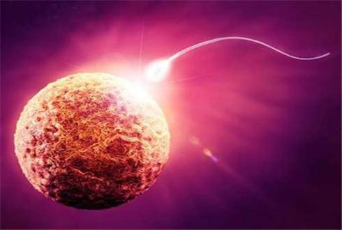 试管婴儿不需要经过输卵管