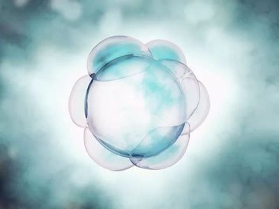 卵巢多囊征做试管婴儿