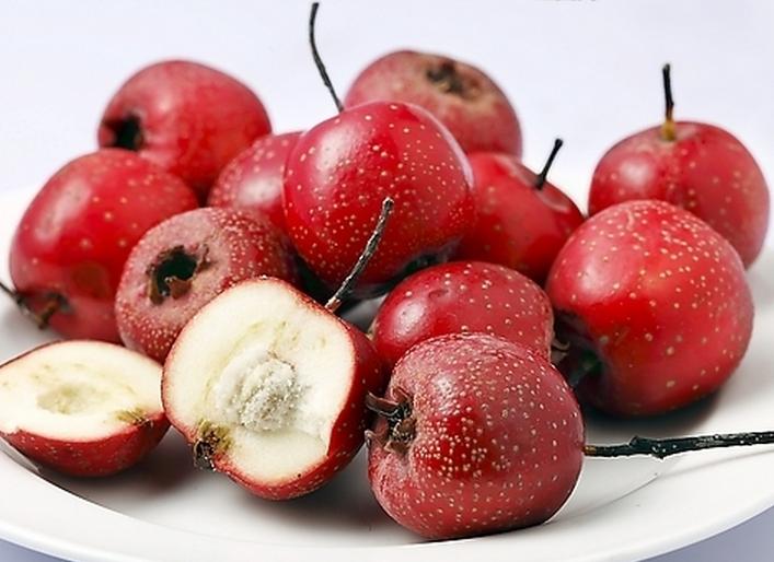 多囊要营养均衡