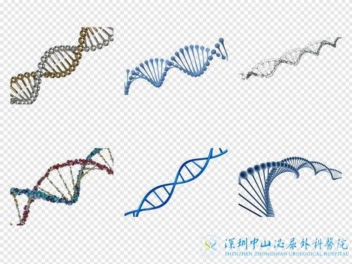 多囊卵巢征是遗传因素引起的