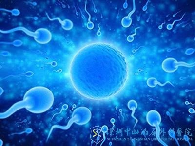 试管婴儿的妊娠率