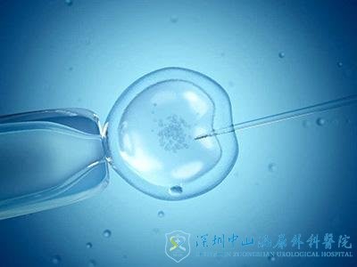 做试管婴儿不需要经过输卵管