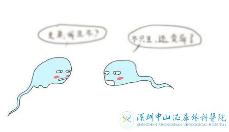 高龄男性易精子变异