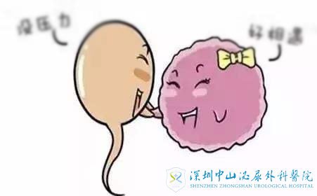 输卵管有粘连还能不能成功排卵