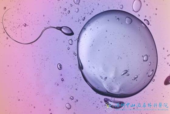 多个卵泡同时发育会影响到试管婴儿吗
