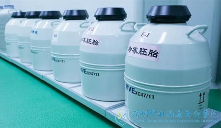 冷冻胚胎