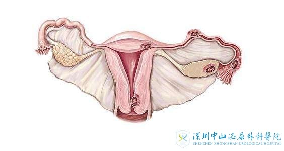 卵巢早衰症状有哪些还能试管吗