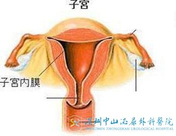 子宫内膜异位试管能怀孕吗