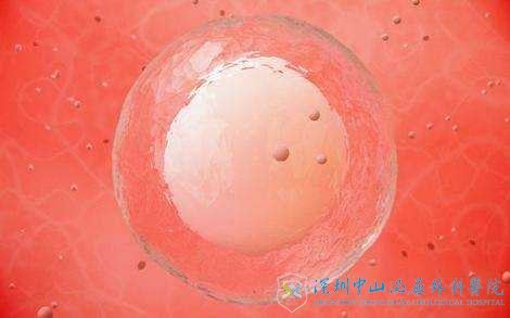 卵巢早衰可以治好吗,怎么试管移植