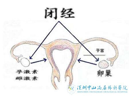 卵巢早衰卵巢会变小吗