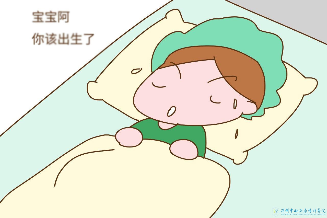 切了子宫能做试管婴儿吗