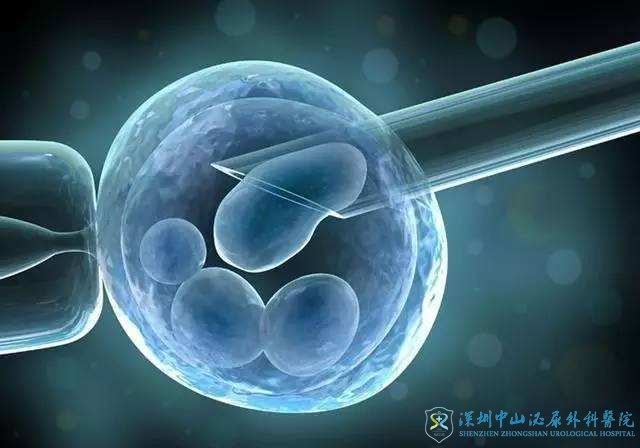 做试管女性该怎么办才能取到更多的卵泡