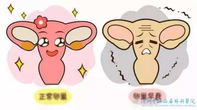 女性预防卵巢早衰会不会对试管更有利呢?