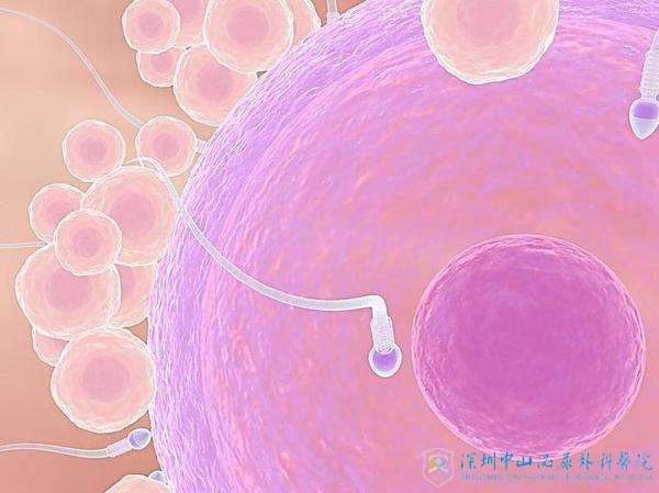 子宫出现异常还能做试管吗