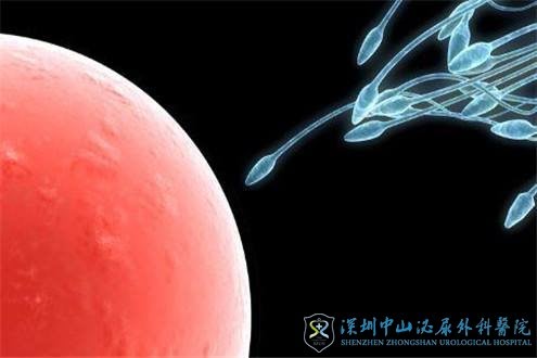 做试管的时候男性是不是也要准备呢