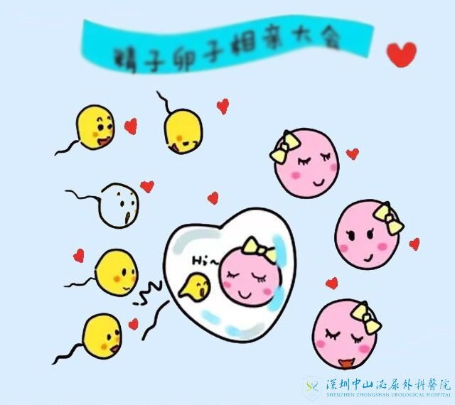 子宫出现异常了还想做试管可以吗