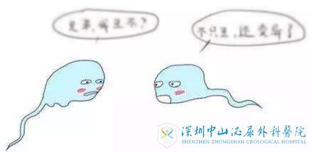 男性精子异常还可以做试管吗