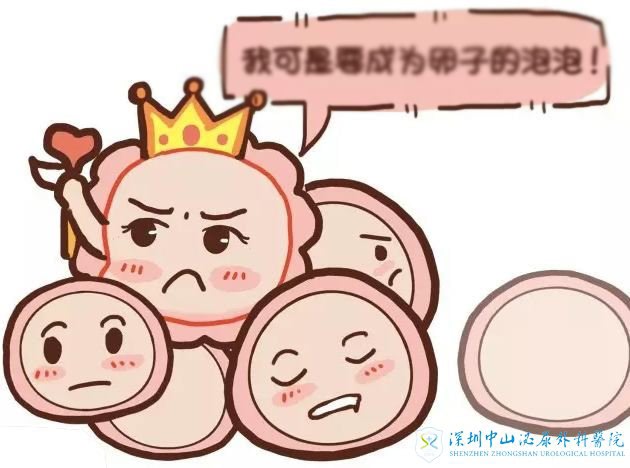 女性要做试管婴儿取卵的时间是多长呢