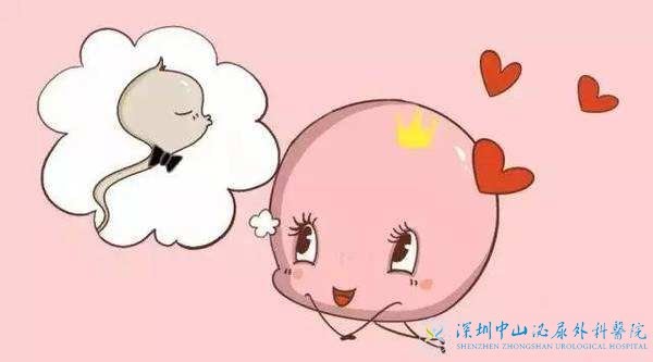 卵子的质量会不会影响试管婴儿