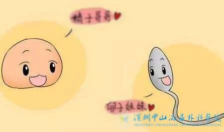 男性精子有畸形还能做试管婴儿吗