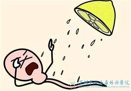 由于男性的精子活力差想做试管婴儿