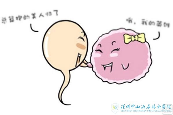 巧克力囊肿会不会影响试管婴儿