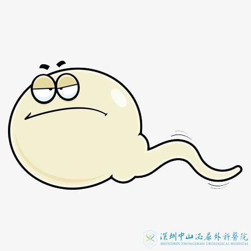 男性少精该怎么做试管婴儿