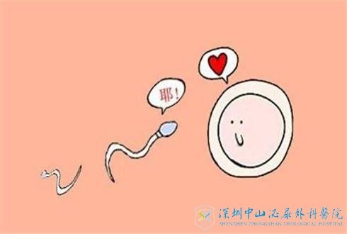 做试管女性取卵是不是越多越好呢