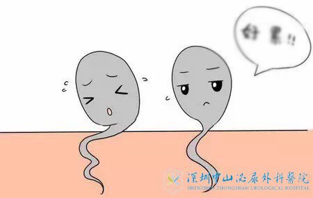 男性精子畸形了还想做试管行吗