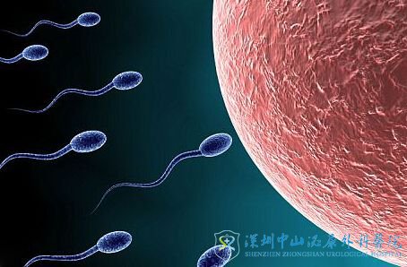 男性如何提升精子活力为试管准备