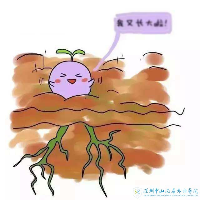 子宫内膜应该要多厚才适合试管移植