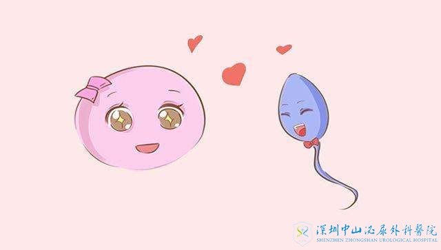 试管移植胚胎后就能着床了吗