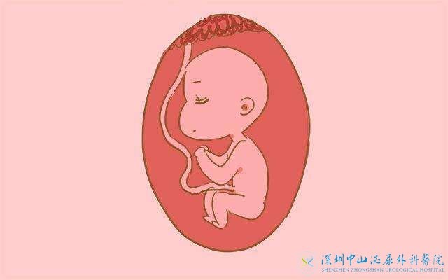 子宫不好能做试管婴儿吗