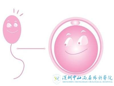 如何促进卵子质量进行试管移植