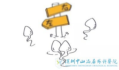 ٱԹС򽡱βˣʵͨԹ