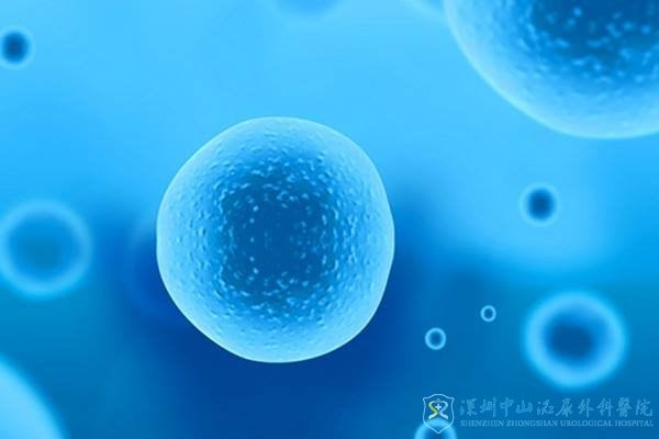 取卵之后有几个空卵泡会影响试管移植吗