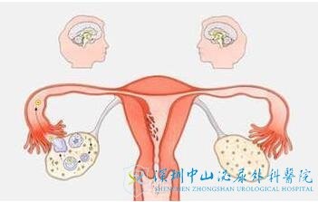 卵巢功能比较差对人工授精会影响吗