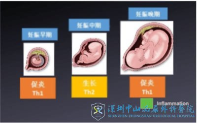 ʲôҽΪʲô3ֲʧܵĲ˳ɹ