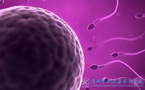 经常吃高热量的食物会影响精子做试管吗