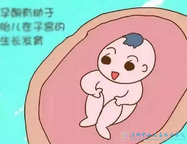 试管婴儿移植女性为什么要注射黄体酮