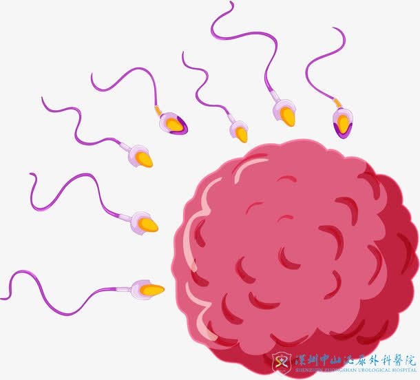 ׼ԹӤˣС򽡱вҪЩ